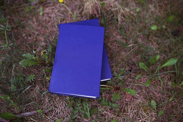 Books outdoor. Books in the woods