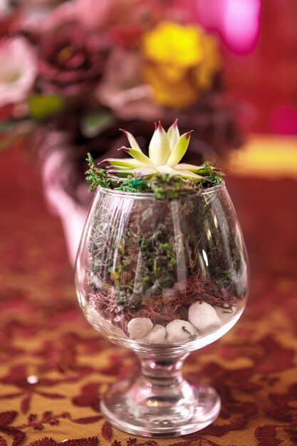 The Boquet of flowers on arranged table