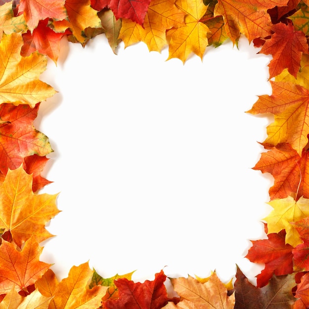 Border frame of colorful autumn leaves isolated on white