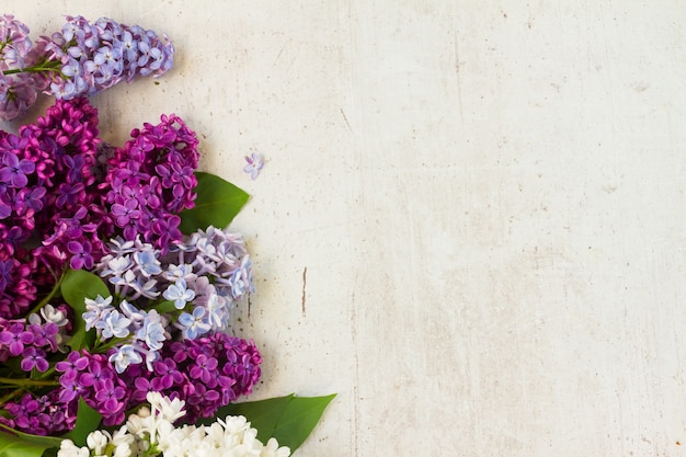 Border of of fresh lilac flowers on white aged wooden background