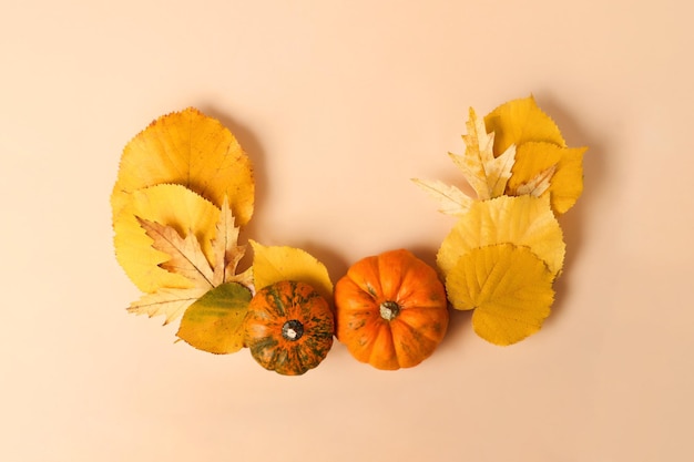 Border from the yellow leafs and little decorative pumpkins