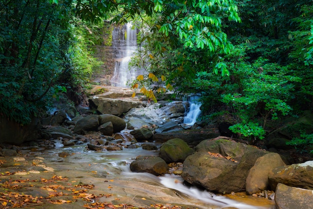 Borneo rain forest waterfall