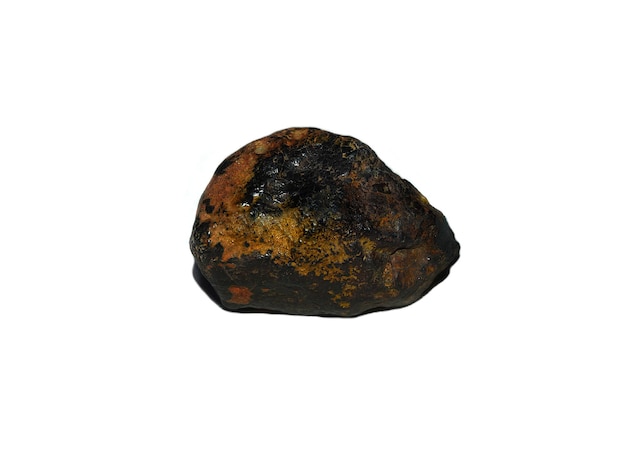 Borzon meteorite found in Mongolian Gobi desert in 1980