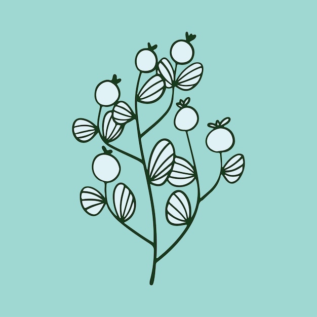 botanical floral illustration vector