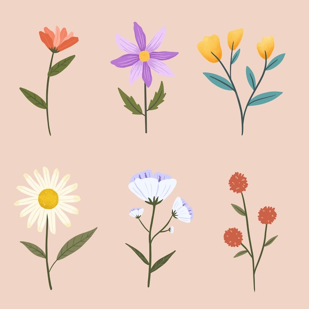 Botanical Flowers Illustration Vector