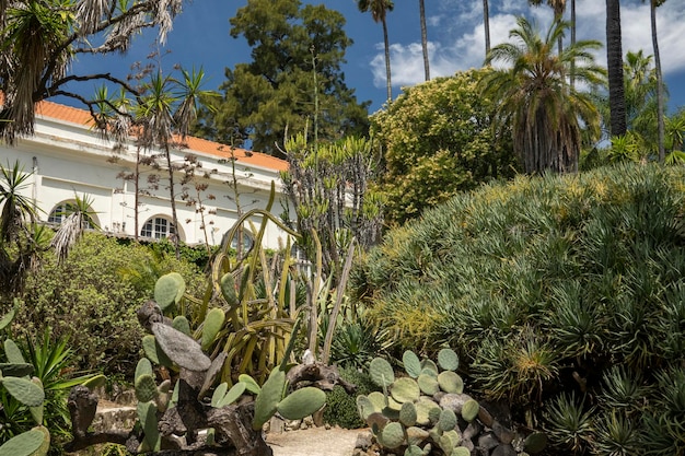 Botanical garden of Lisbon