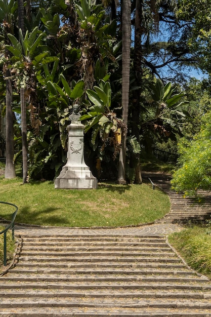 Botanical garden of Lisbon