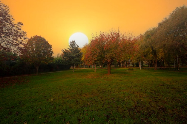 Photo botanical park bursa turkey