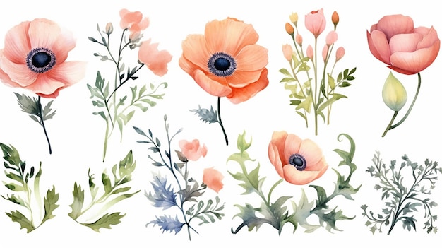 Botanical Pattern with various of beautiful flowers