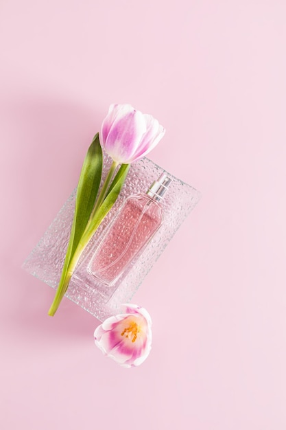 A bottle of delicate women's perfume or spray lies on a glass relief tray with a tulip vertical view pink background aroma presentation