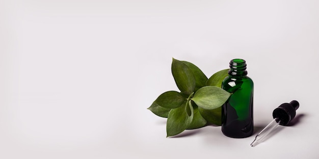 Bottle Essence Oil and green twig. Health Ecology concept. Toned. Long banner format