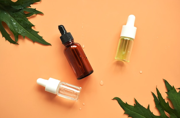 Bottle of essential oil, leaves of medicinal herbs on pink background