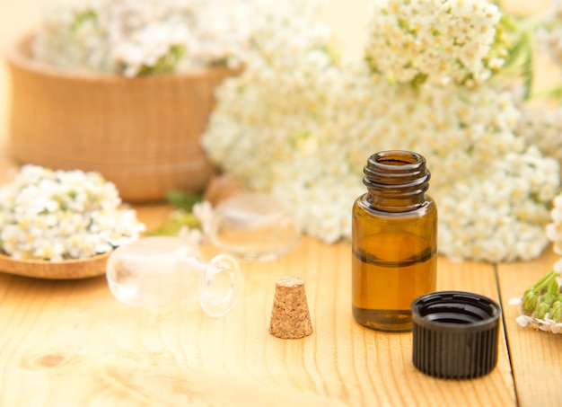 Bottle of essential oil with fresh flowering yarrow branches in the background on a wooden table