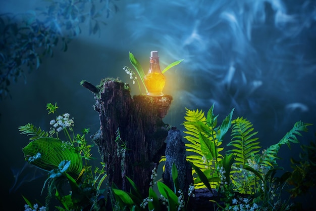 Bottle of magic potions in magical forest