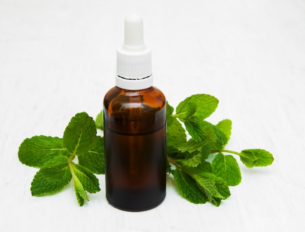 Photo bottle of mint oil and fresh mint