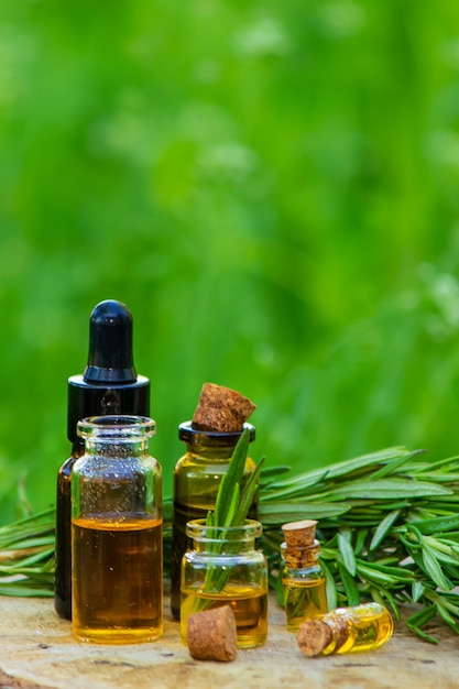 A bottle of rosemary oil on a tree stump. Essential oil, natural remedies. Nature. Selective focus