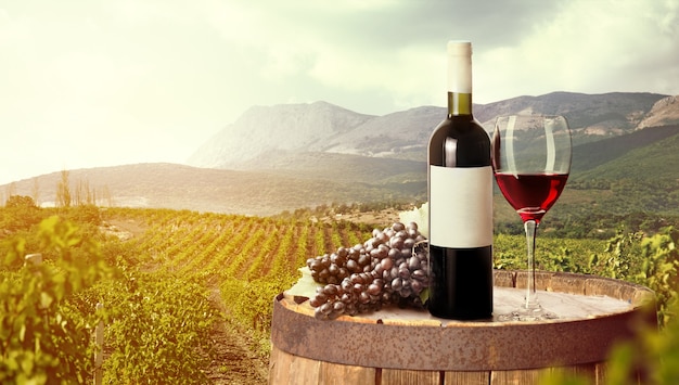 Bottle of wine with grapes on  background