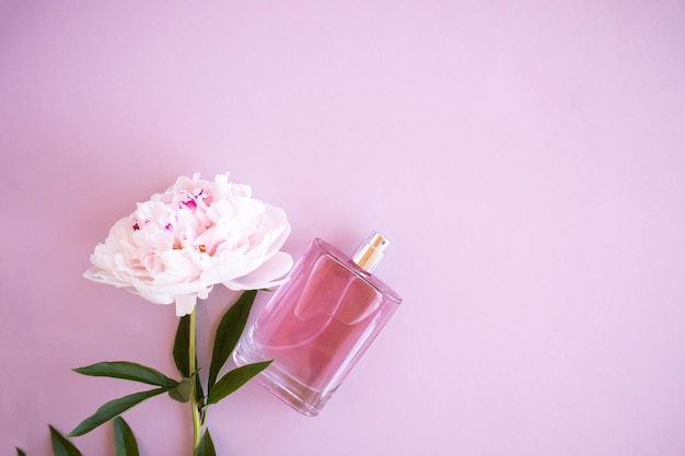 A bottle of women's perfume on a pink background with a peony top view a copy of the space the concept of perfumery and beauty