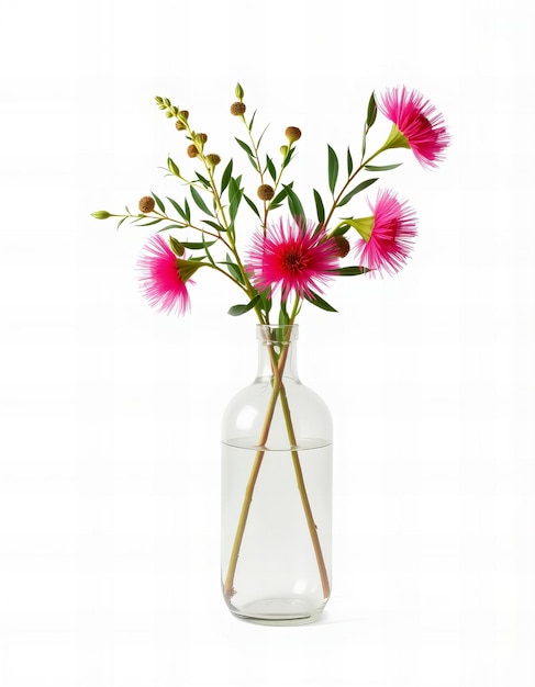 Bottlebrush flower vase on a white background