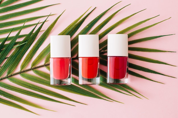 Bottles of red nail polish and palm tree branch on pastel pink background. Manicure and pedicure concept. Flat lay, top view.