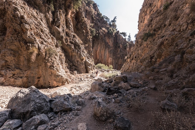 Bottom of narrow mountain gorge with sheer stone walls and rare bushes Aradena Gorge Crete Greece