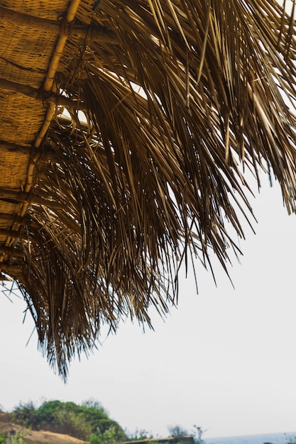 Bottom view roof from leaves of coconut palm tree