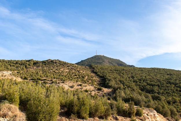 Boukornine Mountain Landscape in Boukornine Tunis Tunisia