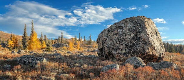 Boulder in a Field of Fall Colors