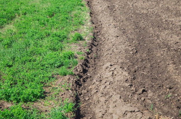 the boundary between the plowed part of the field and overgrown with grass