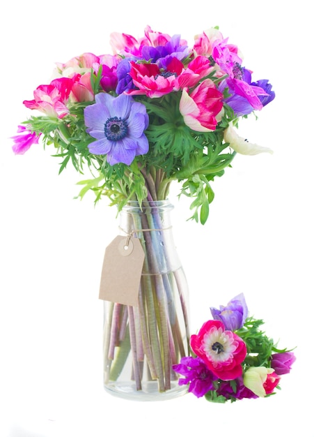 Bouquet  of anemone flowers  in glass vase isolated on white background