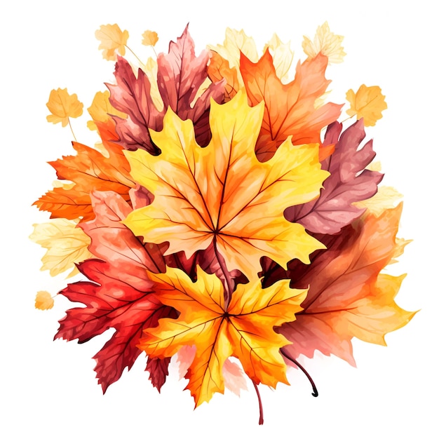 Bouquet of autumn leaves isolated on white background