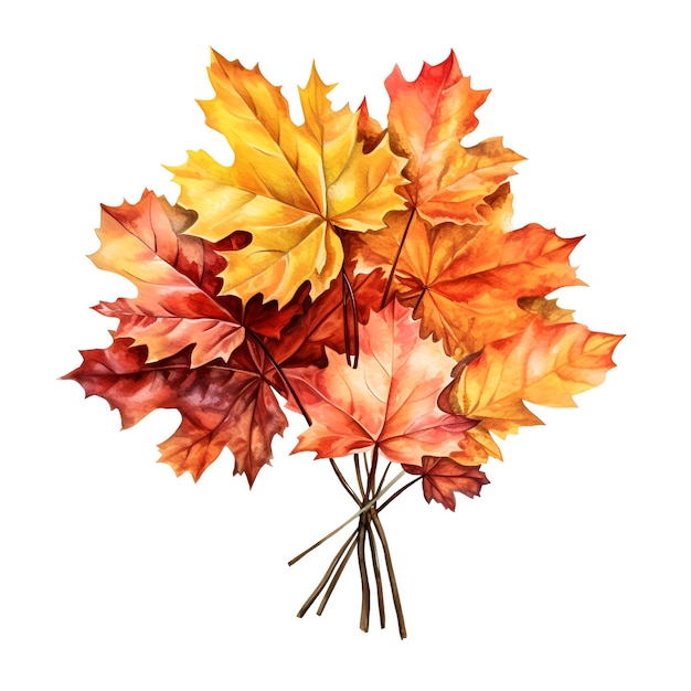 Bouquet of autumn leaves isolated on white background