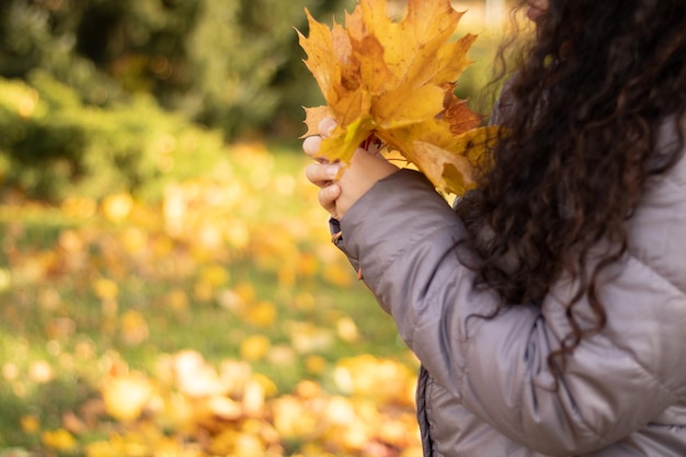 Bouquet of autumn red and orange maple leaves in woman hand