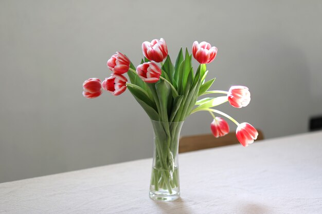 Bouquet of beautiful bicolor tuips in glass vase on the table