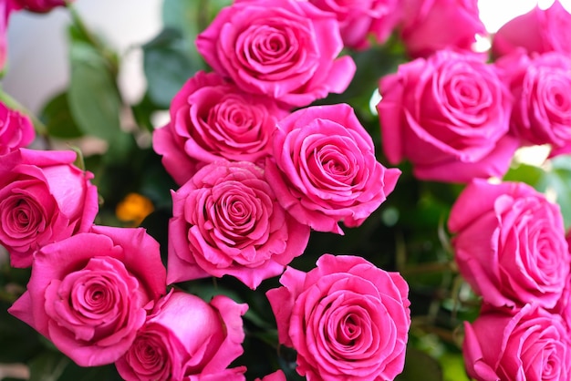 Bouquet of beautiful blossoming pink roses closeup