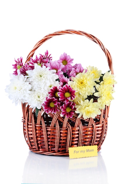 Bouquet of beautiful chrysanthemums in wicker basket isolated on white