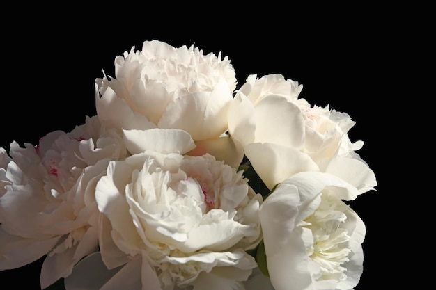 Bouquet of beautiful peony flowers on dark background closeup