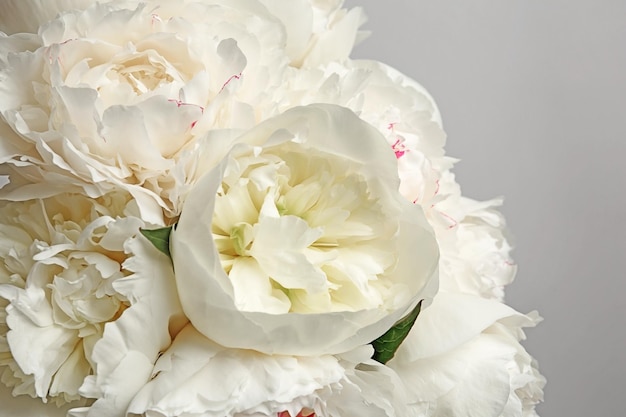 Bouquet of beautiful peony flowers on light background closeup