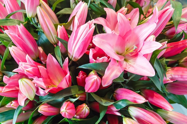 Bouquet of beautiful pink Amaryllis flowers