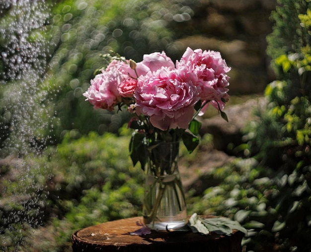 Bouquet of beautiful pink peonies on the sawing of a tree on a blurred green natural background with raindrops