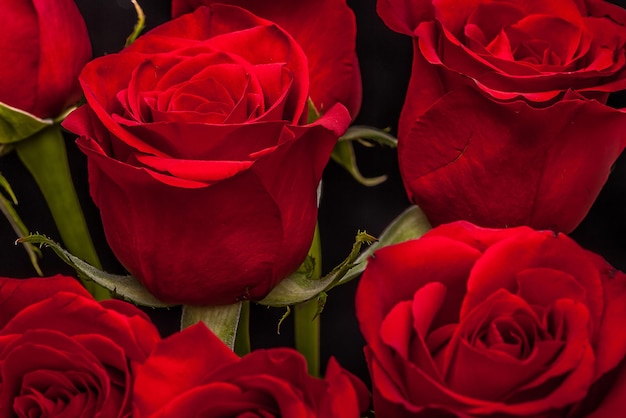 Bouquet of beautiful red roses on a black background