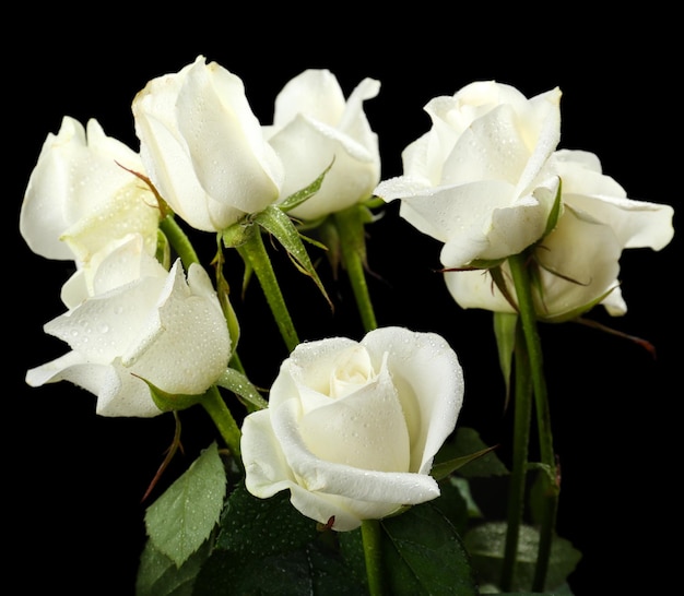 Bouquet of beautiful roses on black background