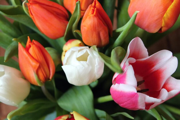 Bouquet of beautiful spring tulips