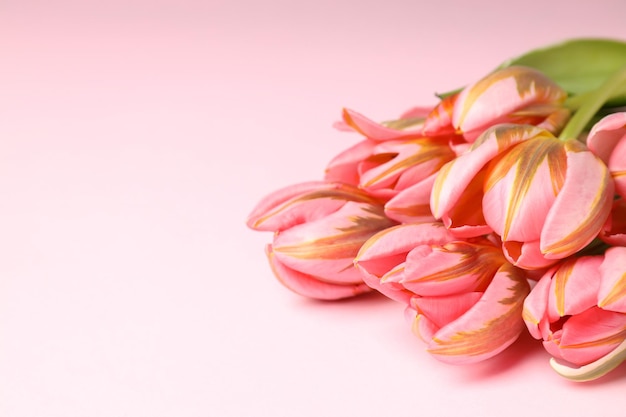 Bouquet of beautiful tulips on pink background