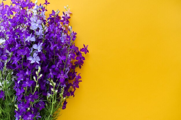 Bouquet of beautiful violet flowers on a yellow background