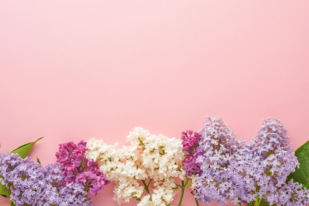 Bouquet of beautiful white and purple lilac on pink background. Top view. Festive greeting card with peony for weddings, happy womens day, Valentines and Mothers day.