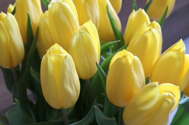 Bouquet of beautiful yellow flowers Flowering flowers