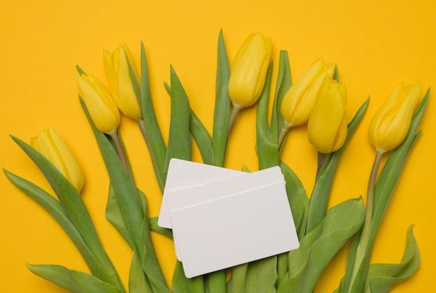 Bouquet of blooming yellow tulips with green leaves on a yellow background