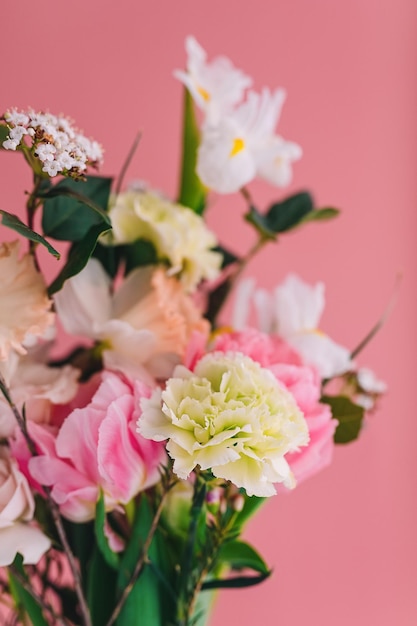 Bouquet of carnations peony tulips roses and daffodils on a pink background closeup