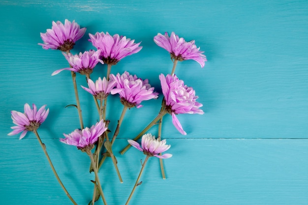 Bouquet of chrysanthemums 